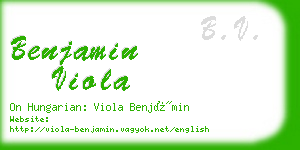 benjamin viola business card